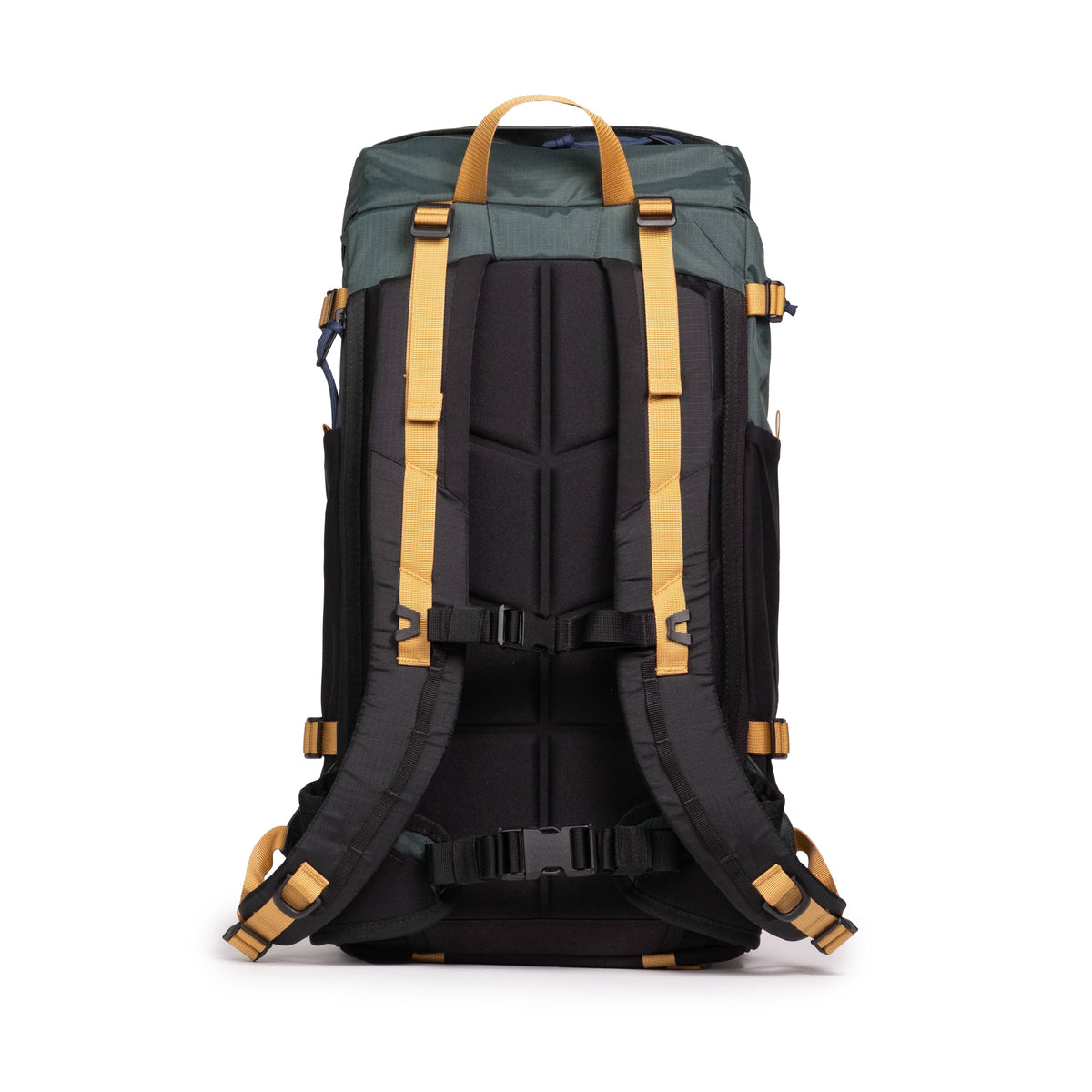 Back View of Topo Designs Rover Trail Pack 22L in "Forest / Goldenrod"